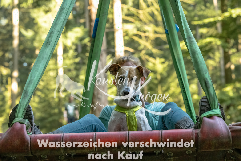 0955_ZZ92319-Bearbeitet | kk-dogfotos