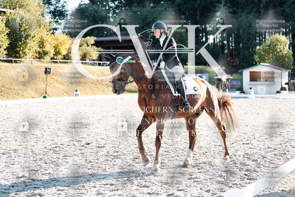 CK907219 | Turnierfotografie Pferdefotografie Trier Rheinland-Pfalz Pferdesport Reitsport Tierfotografie Sportfotografie Pferdevideo Pferdevideografie Equestrianvideography equestrianphotography  - Realisiert mit Pictrs.com