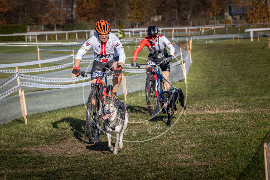 CaniXpix_0L8A4689 | Hundefotografie, Tierfotograf, Pfotenfotografie, Fotoshooting Hund, Hunde Portrait, Hundesport, Hundeportraits, Heideshooting, Hunde, Sportfotograf, Hundefotograf, Turnierhundsport, THS,  - Realisiert mit Pictrs.com