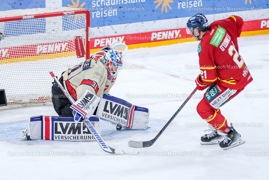 DEG17112401061 | 17.11.2024, Düsseldorf, Eishockey, Penny DEL, PSD-BANK Dome, Düsseldorfer EG - Nürnberg Ice Tigers: Goalie Niklas Treutle (NIT #31) verteidigt gegen Brendan O Donnell (DEG #21) im Penaltyschießen und sichert den Ice Tigers den Sieg.