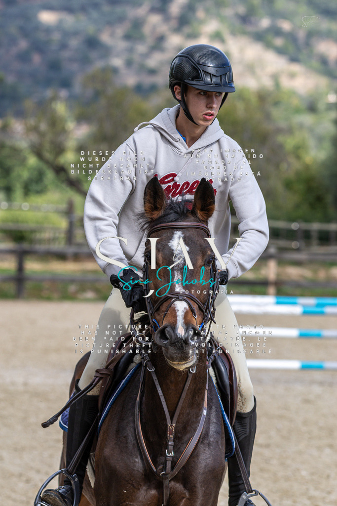 IMG_3011 | s-jay-photography - Realisiert mit Pictrs.com