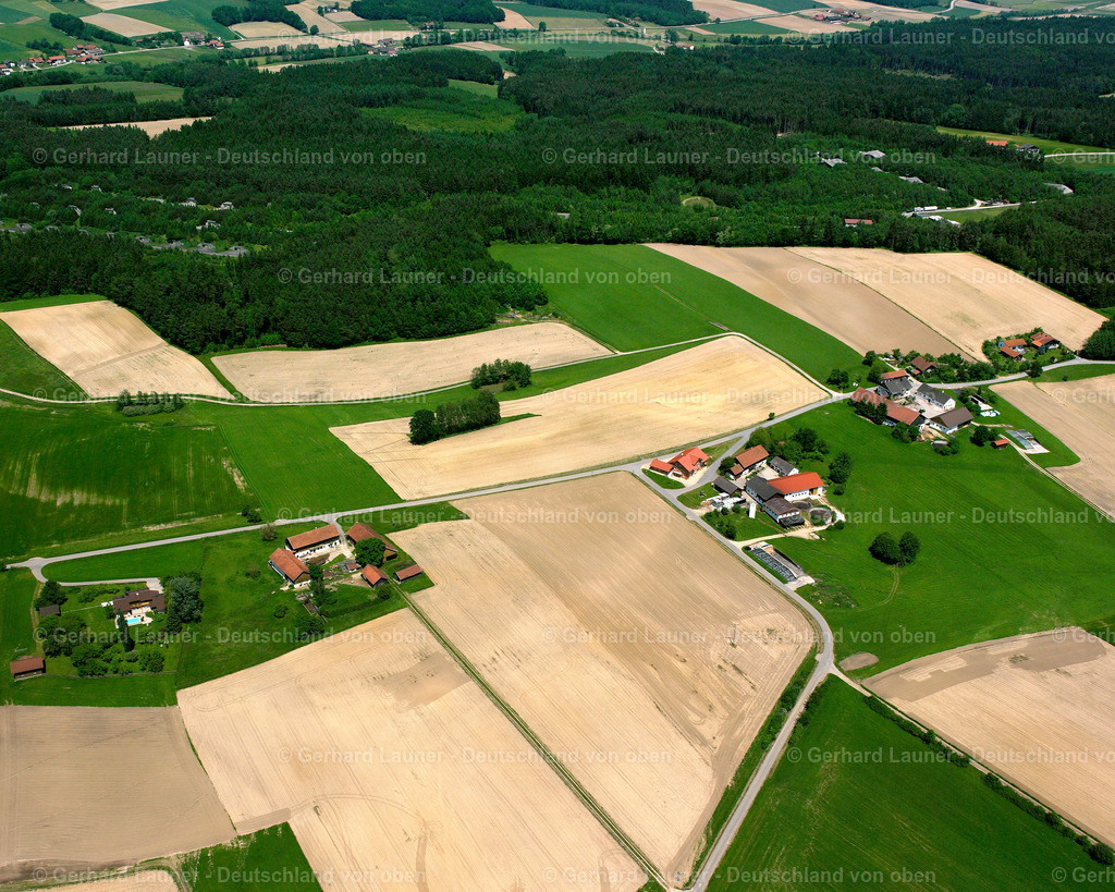 2517893 | Ortholbing, Falkenberg