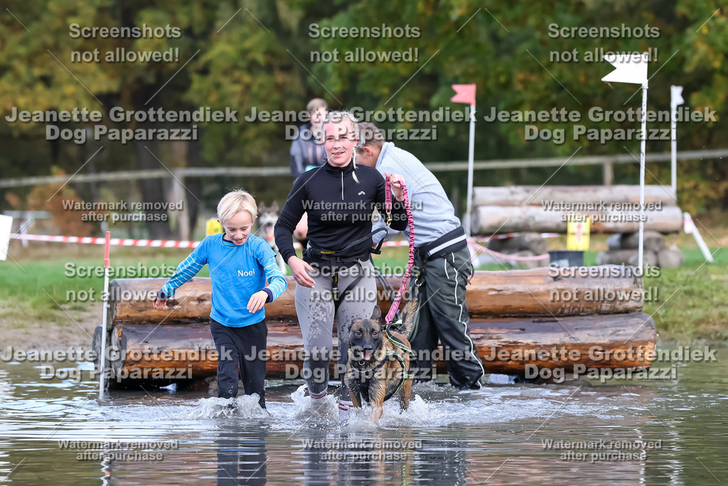 Dog Paparazzi - Strongdog 10-25-6864 | Dog Paparazzi Jeanette Grottendiek Fotografie & Videografie - Realisiert mit Pictrs.com