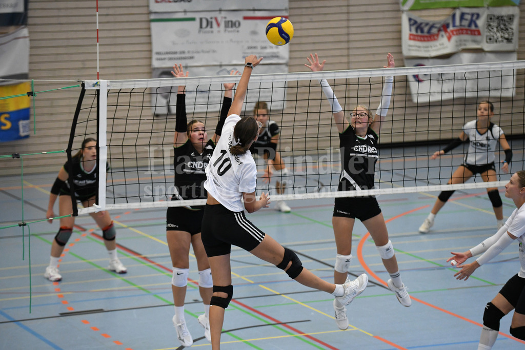 TSV Deggendorf Damen : Wilde Wespen Steinach | TSV Deggendorf Damen : Wilde Wespen Steinach - Realisiert mit Pictrs.com