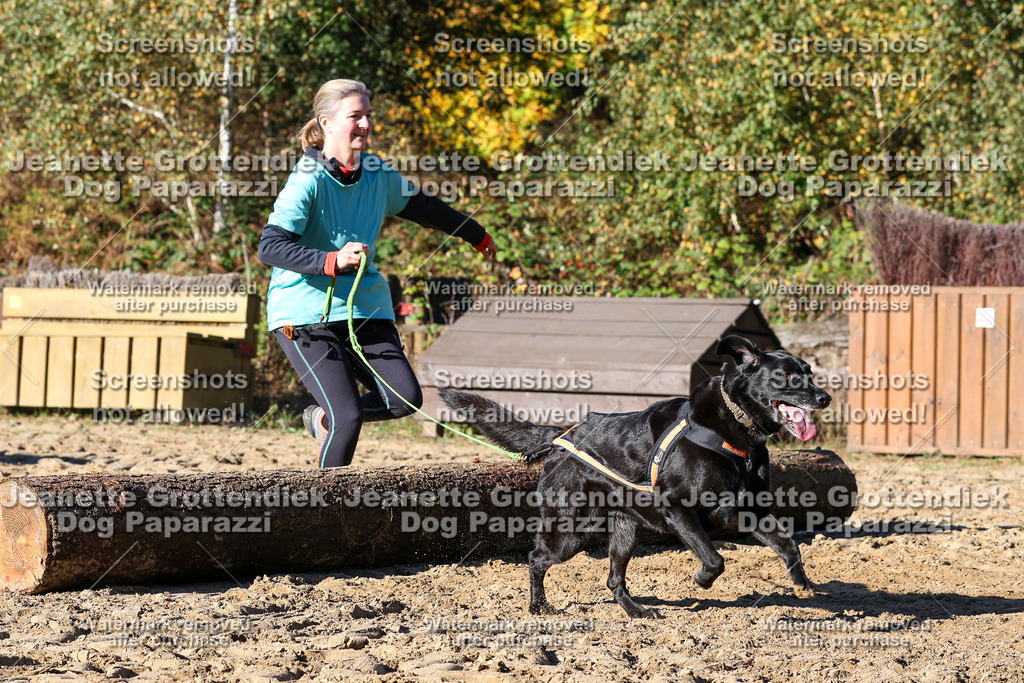 Dog Paparazzi - Strongdog 10-25-1935 | Dog Paparazzi Jeanette Grottendiek Fotografie & Videografie - Realisiert mit Pictrs.com