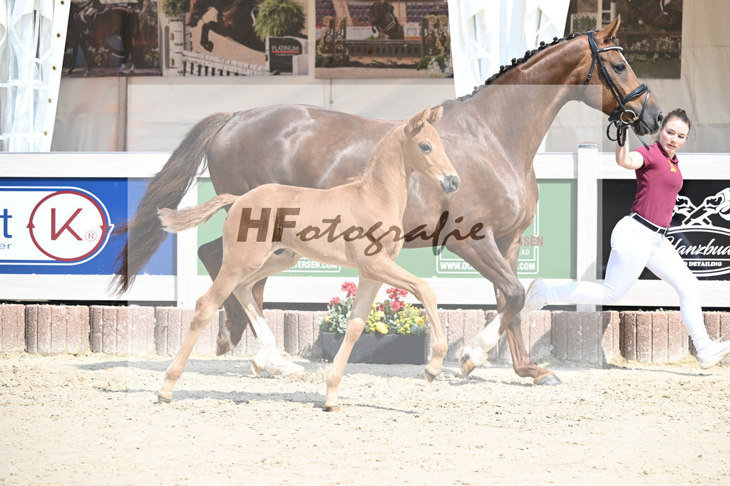 Va Bene x Savoy_HF_Groll_12250354 | hf-fotografie - Realisiert mit Pictrs.com