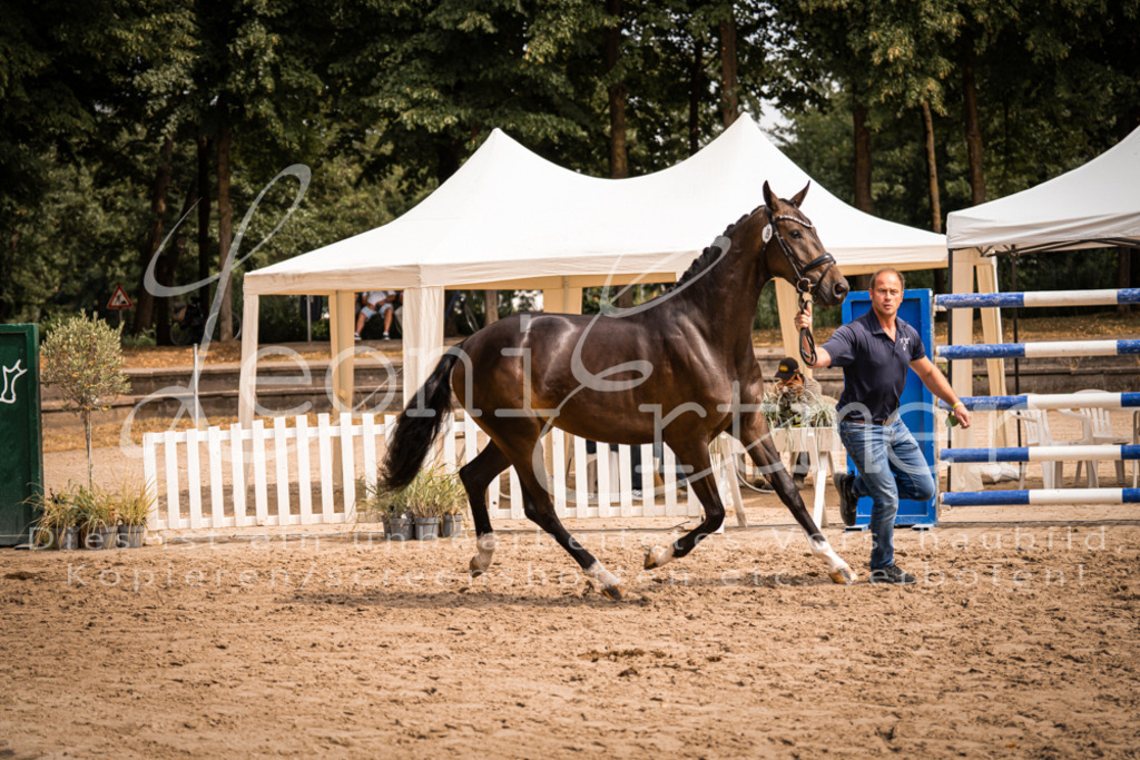 6.Fr00076 | Leoni Ertmer Photography - Realisiert mit Pictrs.com