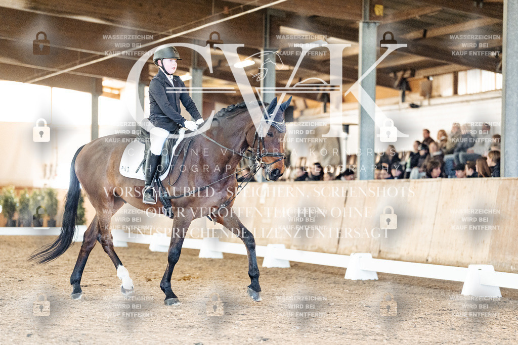 CK907252 | Turnierfotografie Pferdefotografie Trier Rheinland-Pfalz Pferdesport Reitsport Tierfotografie Sportfotografie Pferdevideo Pferdevideografie Equestrianvideography equestrianphotography  - Realisiert mit Pictrs.com