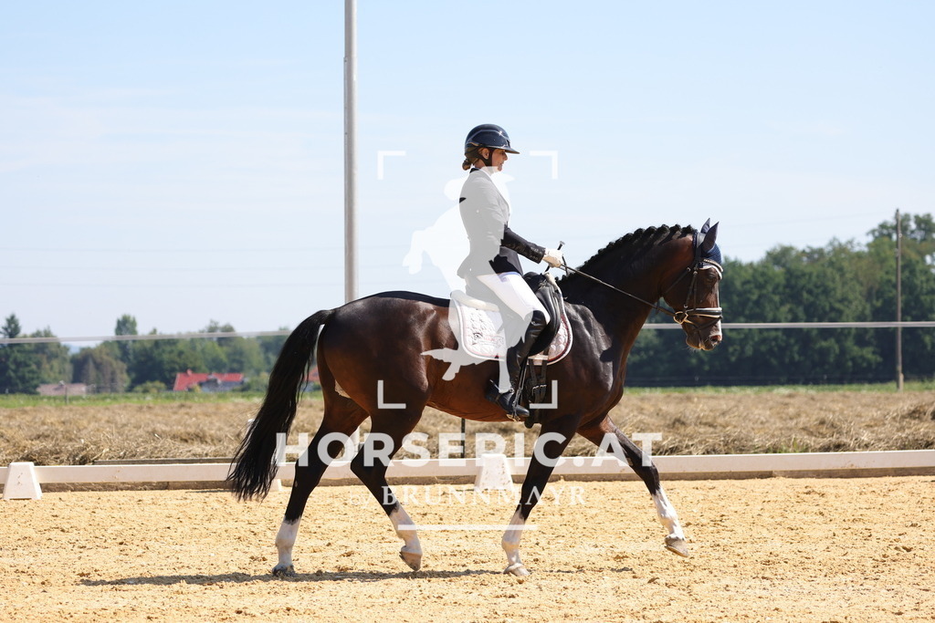 0P6A9618 | Willkommen bei Brunnmayr - Design & Fotografie – Ihrem Spezialisten für Reitturniere und Pferdeveranstaltungen in Oberösterreich, Salzburg und Bayern! Seit über 17 Jahren sind wir leidenschaftlich dabei.