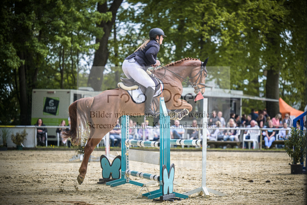 DOS_1001 | Entdecke hochwertige Reitturnierfotos von Foto Oger. Professionell, emotional und authentisch – jetzt Lieblingsmomente im Shop bestellen.Deutschlandweite Turnierfotografie. - Realisiert mit Pictrs.com