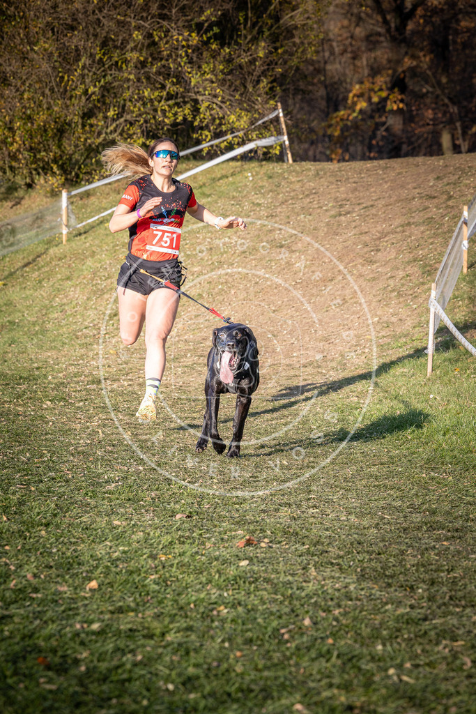 CaniXpix_0L8A9854 | Hundefotografie, Tierfotograf, Pfotenfotografie, Fotoshooting Hund, Hunde Portrait, Hundesport, Hundeportraits, Heideshooting, Hunde, Sportfotograf, Hundefotograf, Turnierhundsport, THS,  - Realisiert mit Pictrs.com