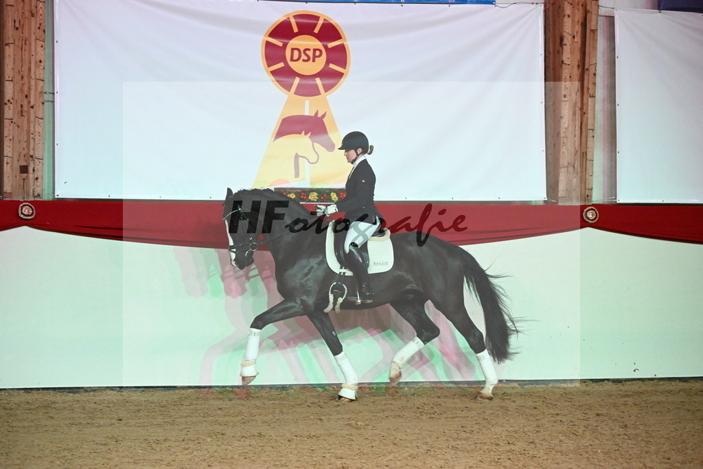Jamie_Haug_2255151 | hf-fotografie - Realizzato con Pictrs.com