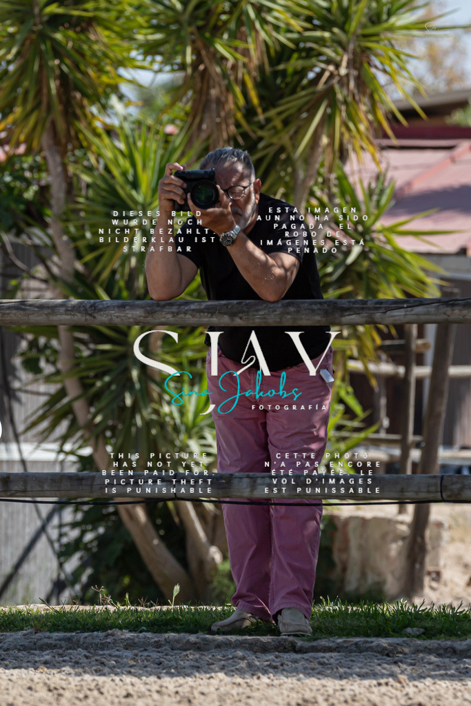 IMG_0780 | s-jay-photography - Realisiert mit Pictrs.com