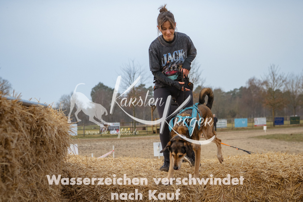 0831_ZZ93180 | kk-dogfotos