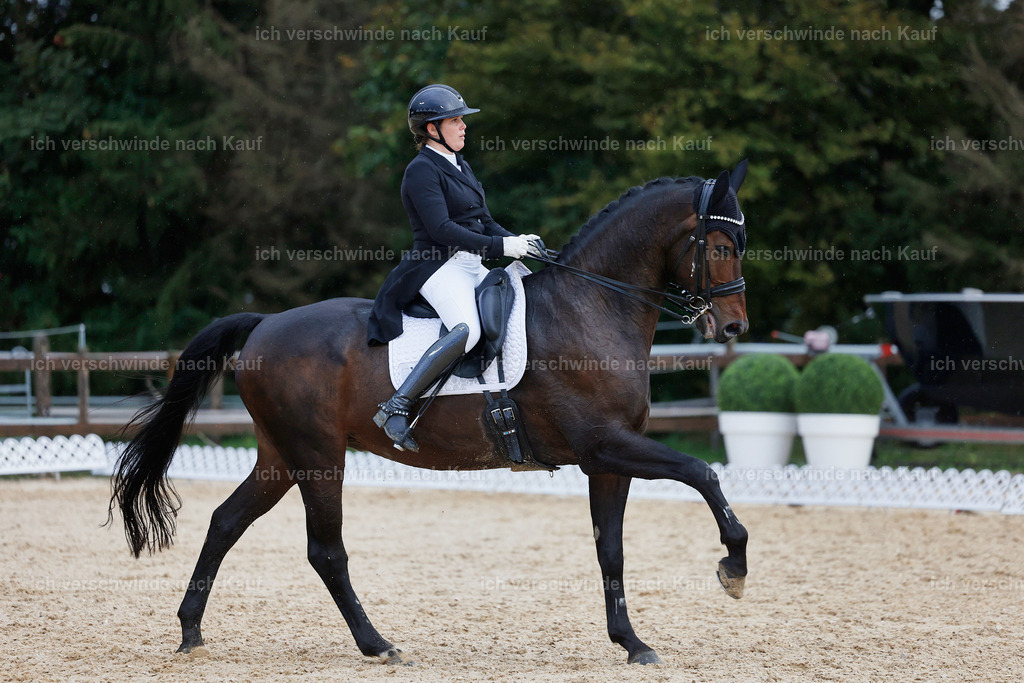 8_2-193-DRESSUR S_  -StoibPH-4519 | working equitationturnier fotograf videograf stoibphotography marixx film working equitation deutschland reitsport turnierfotografie eventfotografie equestrian events