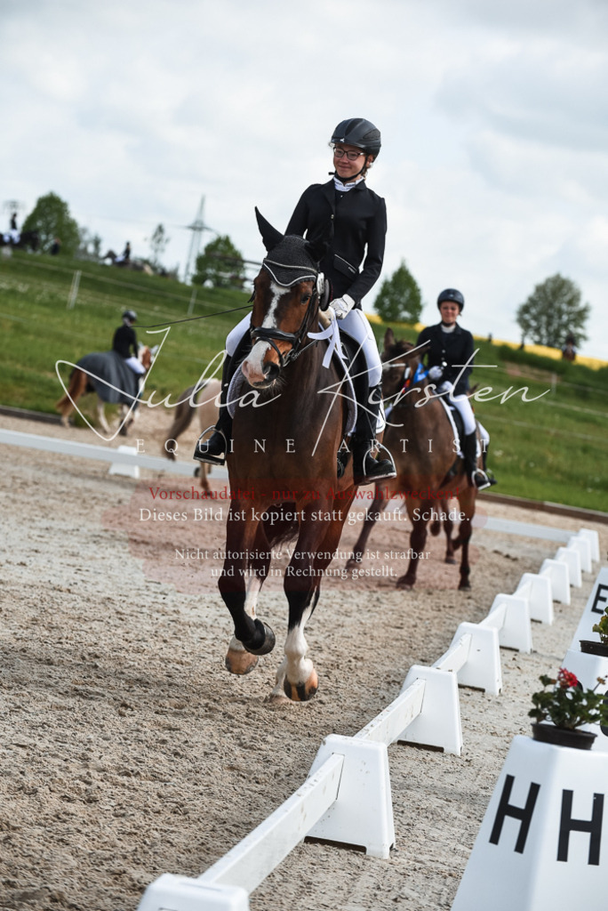 20230518_JK-Röhrsdorf-09-1682 | Pferde- und Turnierfotografie in Westsachsen. Pferdeportraits, Auftragszeichnungen und intuitive Kunst.