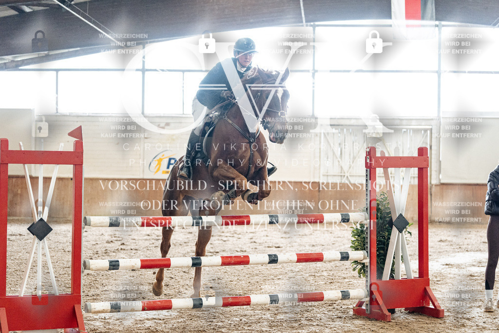 CK906170 | Turnierfotografie Pferdefotografie Trier Rheinland-Pfalz Pferdesport Reitsport Tierfotografie Sportfotografie Pferdevideo Pferdevideografie Equestrianvideography equestrianphotography  - Realisiert mit Pictrs.com