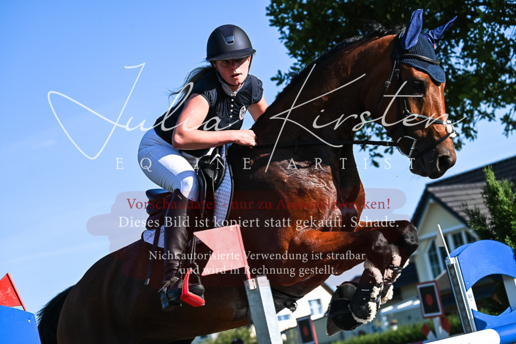 DSC_2927 | Pferde- und Turnierfotografie in Westsachsen. Pferdeportraits, Auftragszeichnungen und intuitive Kunst.