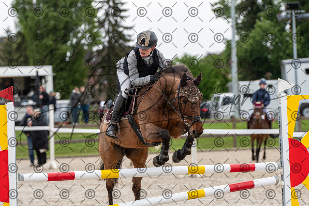 KPT_7878 | andre_photographic