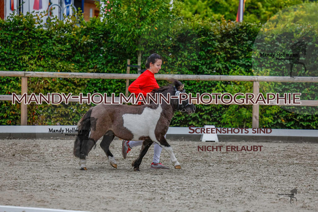 SH (232 von 345) | mandyhollmannphotographie