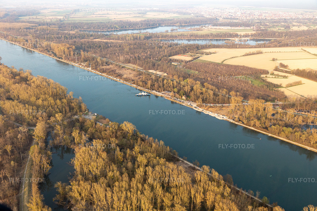 Luftbild: Ortsansicht in Neupotz im Bundesland Rheinland-Pfalz in Deutschland. Foto: IMG_113240.jpg vom 23.03.2019 durch Werner Riehm/FLY-FOTO.de
