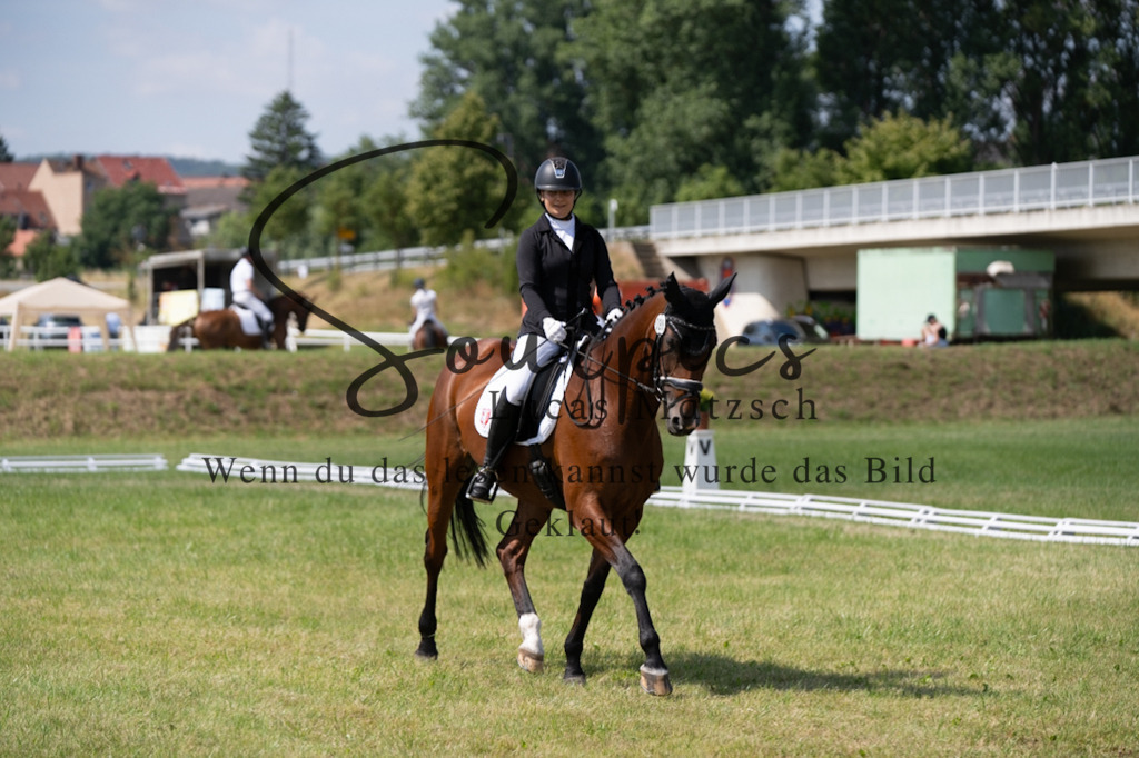 A7V09756 | Pferdefotograf