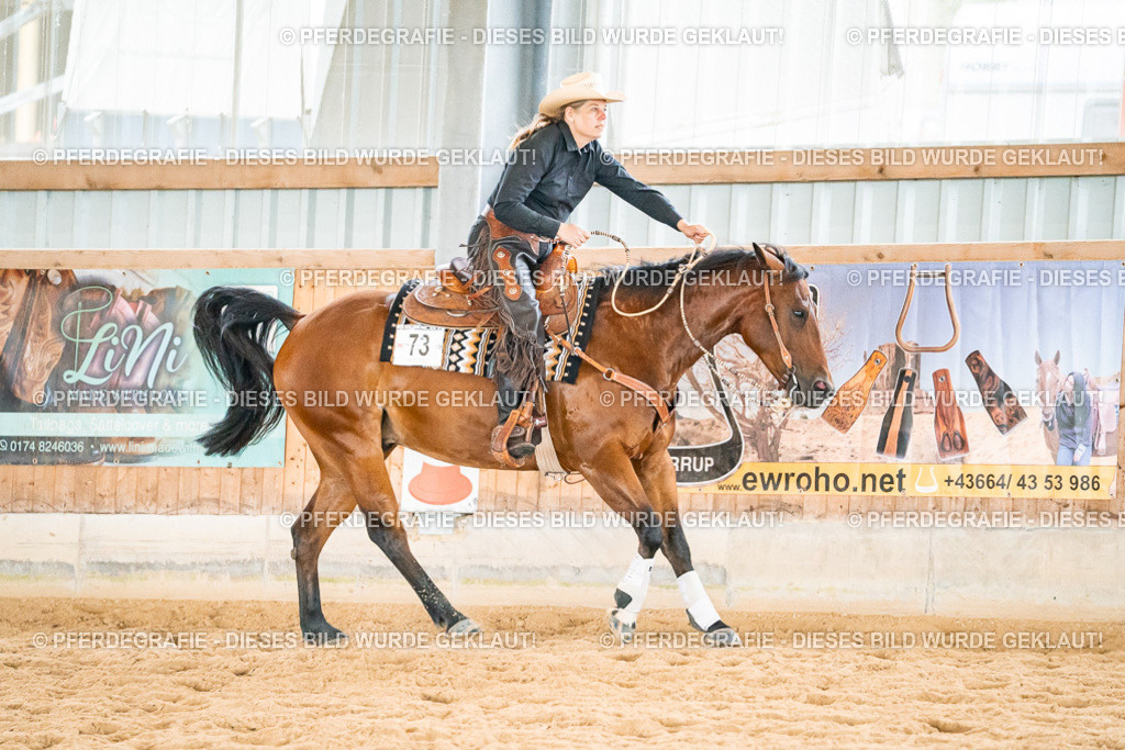 DSC01064 | Pferdegrafie