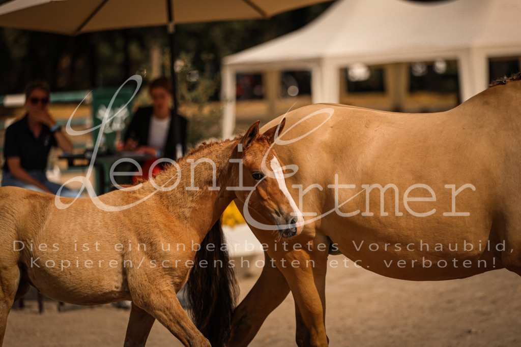 10.DoRP00104 | Leoni Ertmer Photography - Realisiert mit Pictrs.com