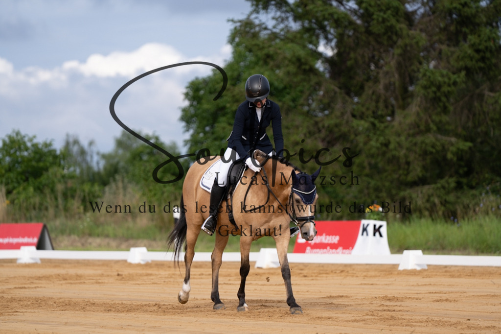 A7V05098 | Pferdefotograf