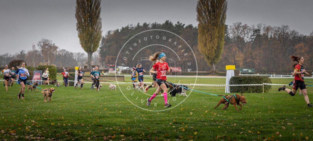 CaniXpix_DV3A8831 | Hundefotografie, Tierfotograf, Pfotenfotografie, Fotoshooting Hund, Hunde Portrait, Hundesport, Hundeportraits, Heideshooting, Hunde, Sportfotograf, Hundefotograf, Turnierhundsport, THS,  - Realisiert mit Pictrs.com