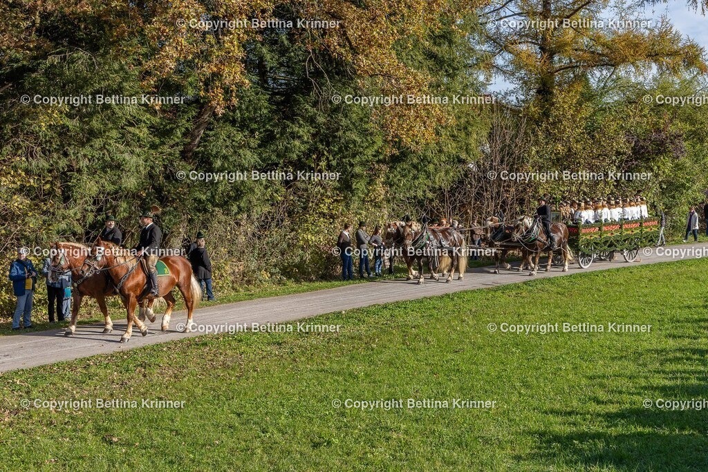 LBT24-308 | foto-bettina-krinner - Realisiert mit Pictrs.com