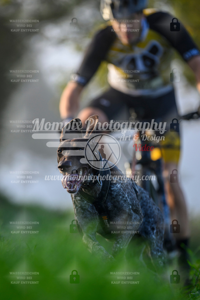 MompixPhotography_20TSB_E3_Bike-20 | PayLife