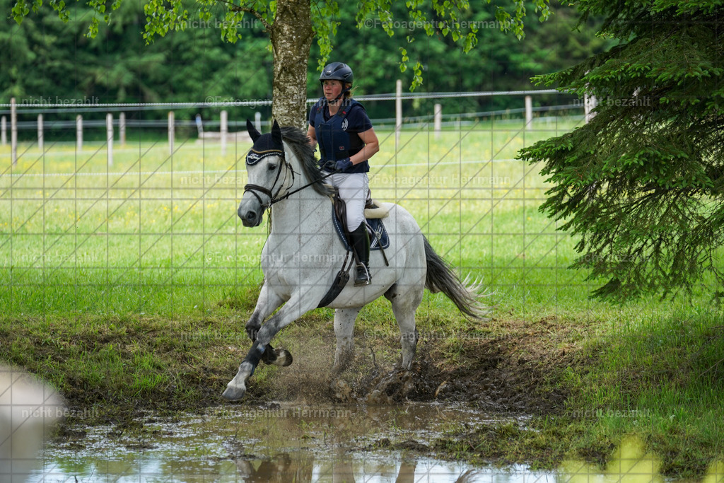 20240518-FAH03742 | Turnierbilder von Niederseon, Turnierfotografen Bayern, Fotoagentur Herrmann, Geländebilder, Reitsportfotografie