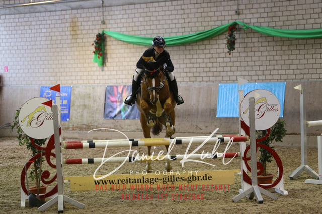 IMG_0875 | Deine Turnierfotos vom Reitturnier online kaufen: Dressur, Springen & Siegerehrung. Professionelle Pferdefotografie aus dem Rheinland – als Download & Print.Alternative: Turnierfotograf für den Pferdesport: Finde deine Fotos von Dressur- und Springturnier