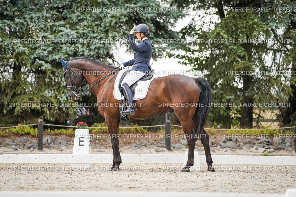 DSC09483 | Pferdegrafie