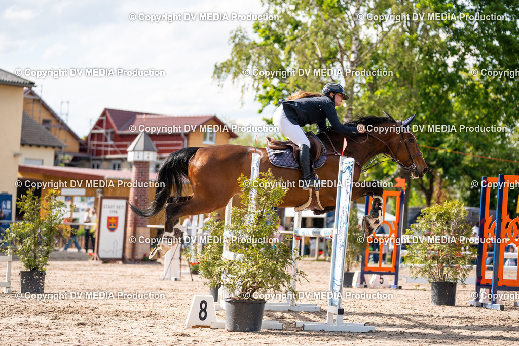 Eppelheim Tag 2-611 | dv-media-shop - Realisiert mit Pictrs.com