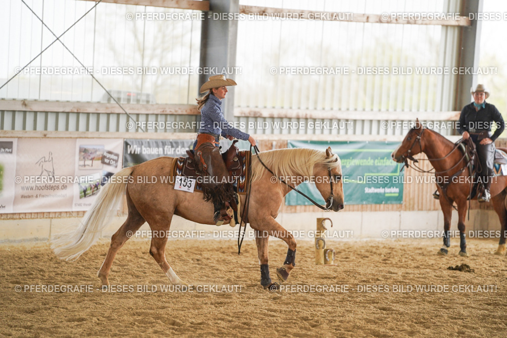 DSC05936 | Pferdegrafie