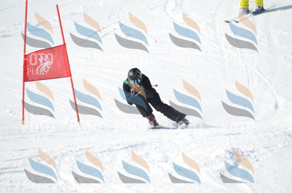 D9152 | holidayphoto