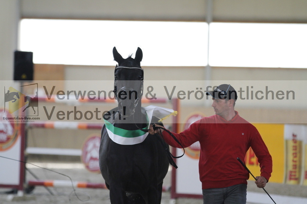 _MG_0118 | equestrian-live-com