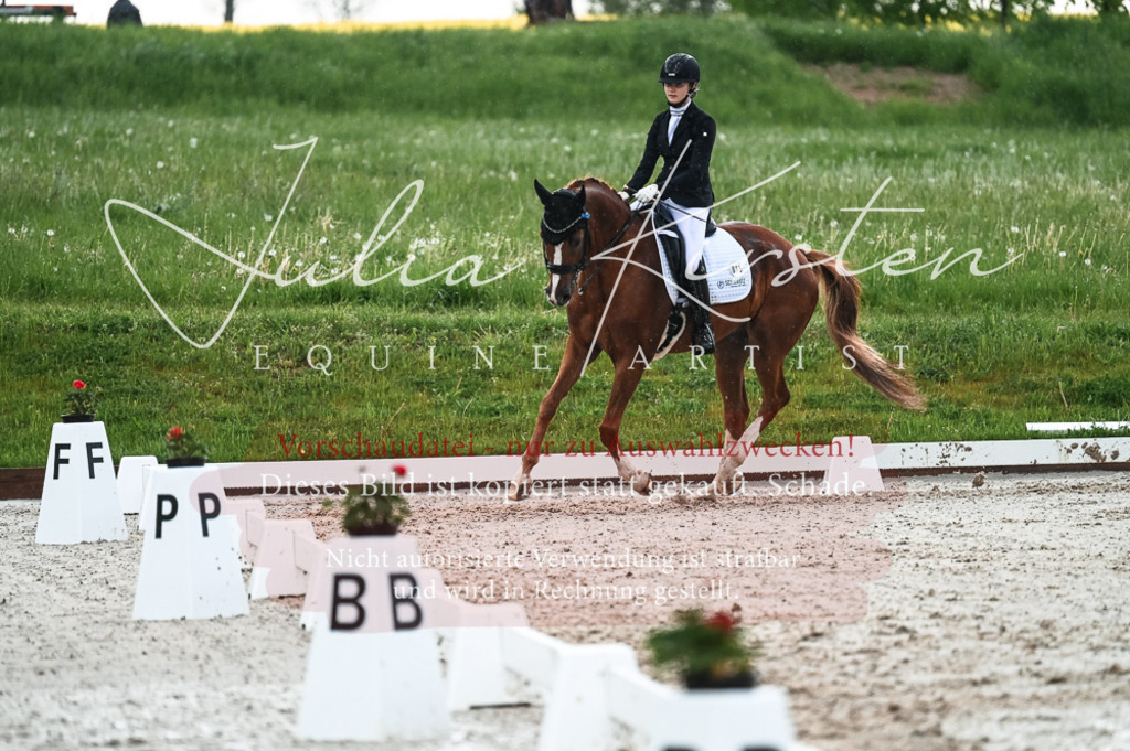 DSC_4300 | Pferde- und Turnierfotografie in Westsachsen. Pferdeportraits, Auftragszeichnungen und intuitive Kunst.