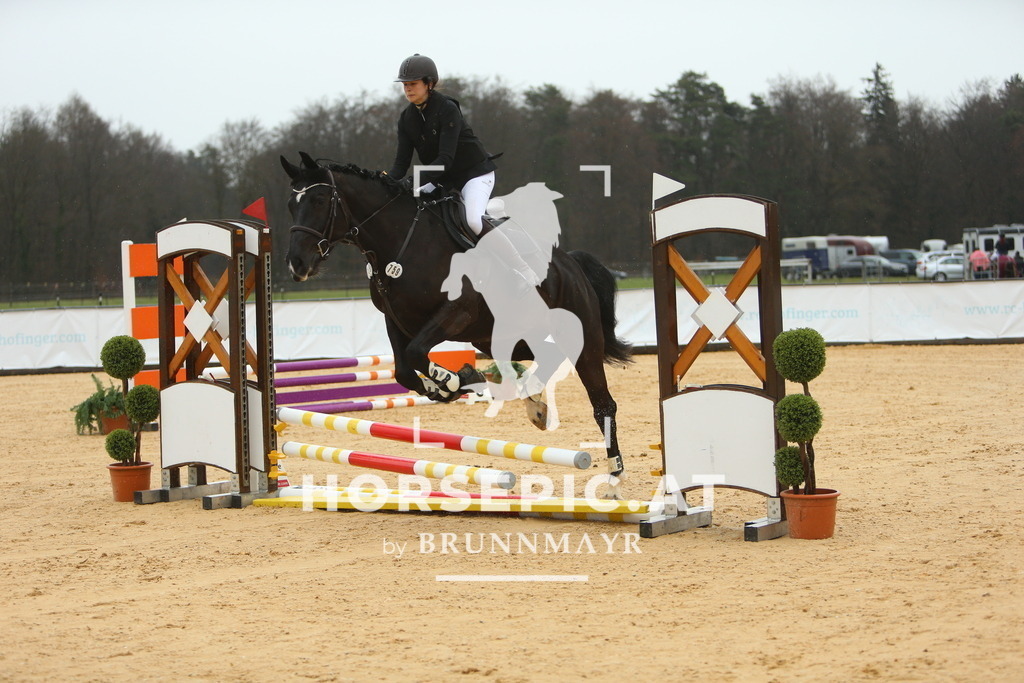 DL2Q0896 | Willkommen bei Brunnmayr - Design & Fotografie – Ihrem Spezialisten für Reitturniere und Pferdeveranstaltungen in Oberösterreich, Salzburg und Bayern! Seit über 17 Jahren sind wir leidenschaftlich dabei.