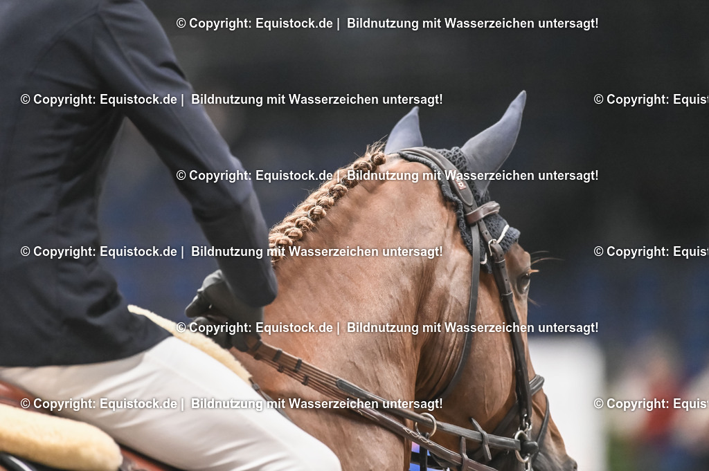 20231116_PREIS DER BARDUSCH GMBH_0116_TOMsPiC | Foto: Thomas Hartig