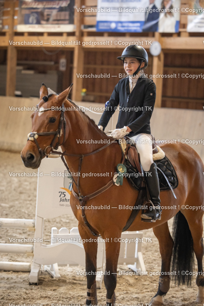 _D5A9973 | Emotionale Pferde- & People-Fotografie rund um Heidelberg, Leimen & Umgebung. Natürliche Fotos von Pferd, Mensch & Familie. Jetzt Termin sichern!