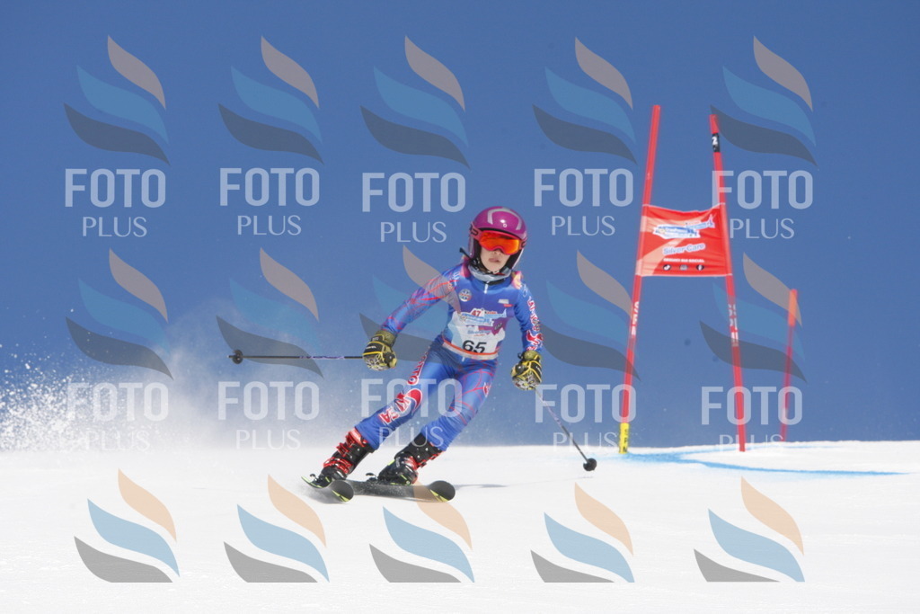 _W1G0944 | holidayphoto