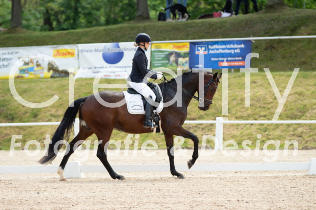 IMG_0488 | Creatify Fotografie