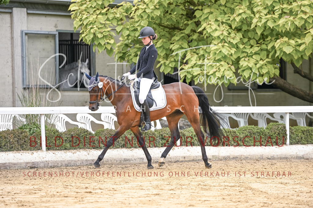 Schugtsche-Aluta25-42.EDressur -311 | Schugtsche Fotografie - Realisiert mit Pictrs.com