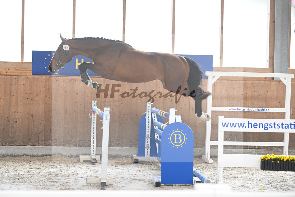 Kat-Nr. 67 Apple Blossom v h Beeckhof v. Bamako de Muze_KES-Kreidl_14260352 | hf-fotografie - Realizzato con Pictrs.com