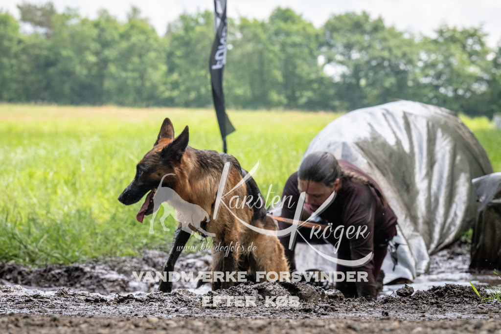 1141_ZZ93865 | kk-dogfotos