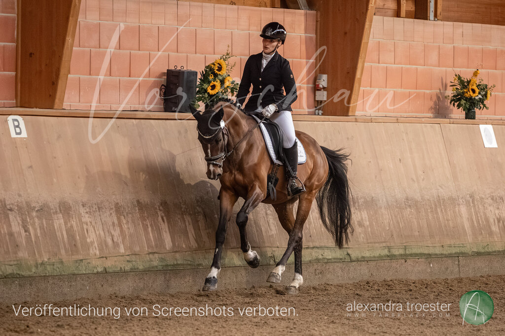 250914_Barop_36_259 | farbklaex.com