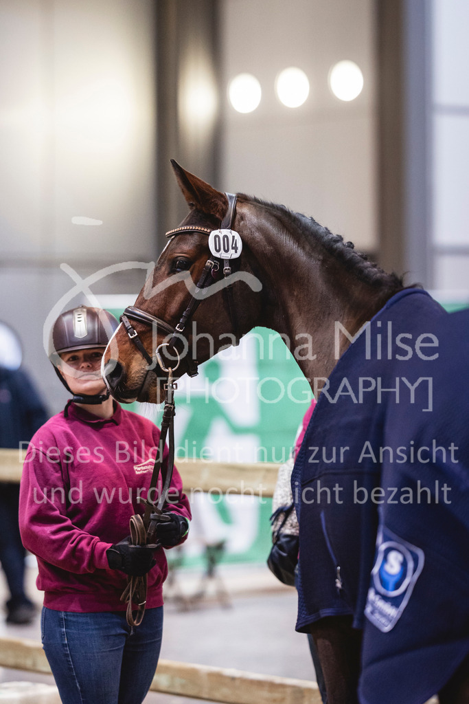 240119_Leipzig_Impressionen-523 | Deine schönsten Turniermomente als professionelle Fotos! Entdecke hochwertige Pferdesport-Fotografie im Online-Shop. Jetzt Fotos finden & bestellen!